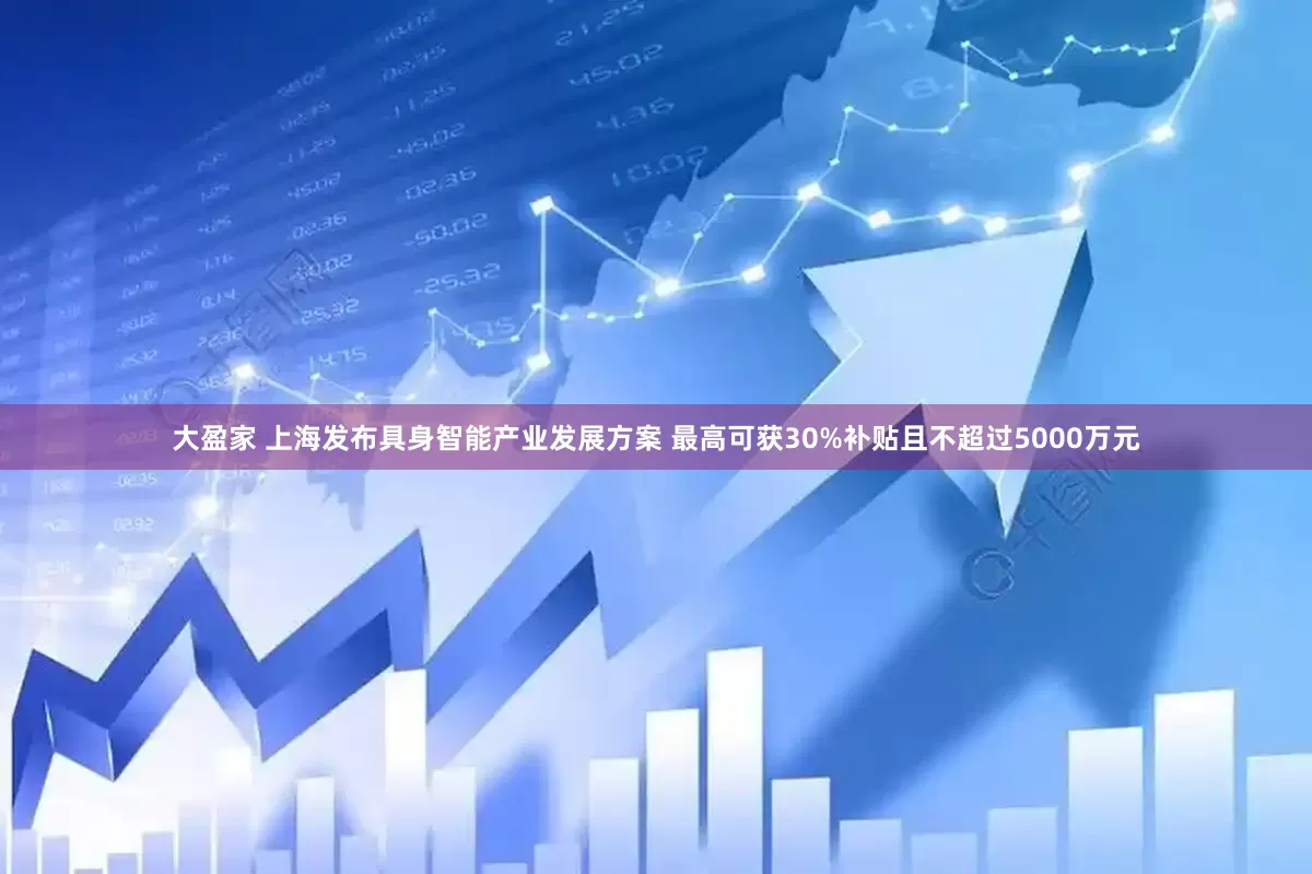 大盈家 上海发布具身智能产业发展方案 最高可获30%补贴且不超过5000万元