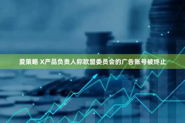 爱策略 X产品负责人称欧盟委员会的广告账号被终止